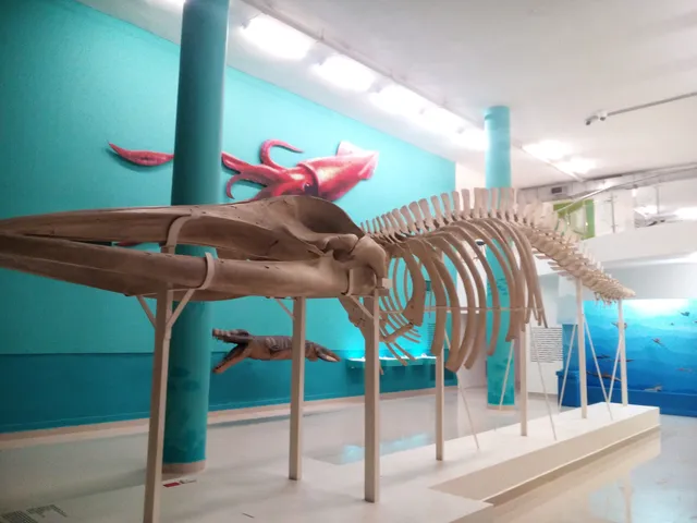 Museo de Ciencias Naturales de La Salle