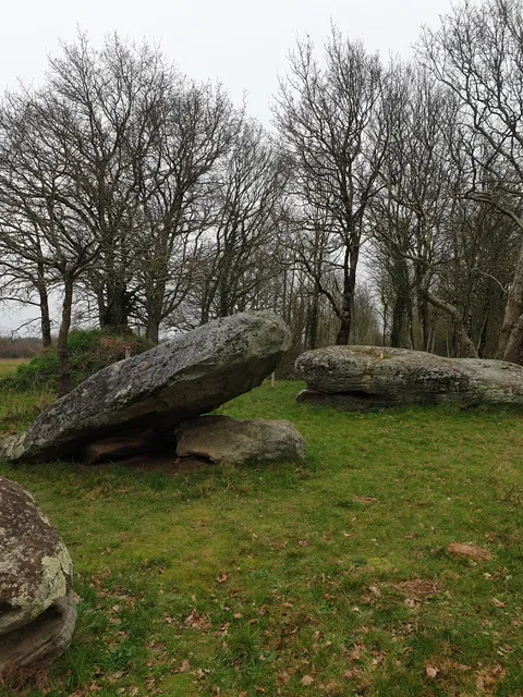 pierre des Platennes