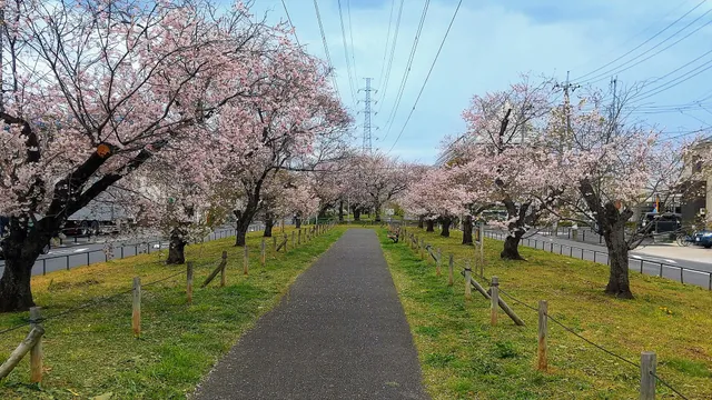 Kohoku Hokubu Ryokudo Park