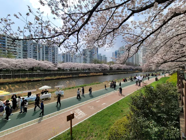 Oncheoncheon Cafe Street