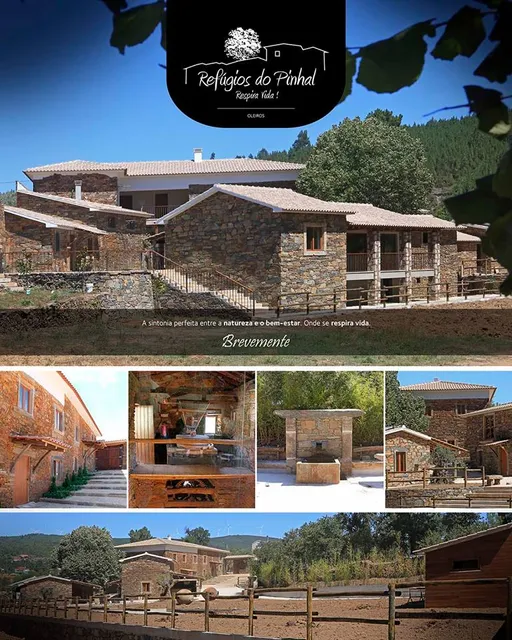 Refúgios do Pinhal, Casa Rural, Turismo Natureza