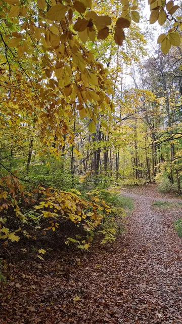 Kappsta nature reserve