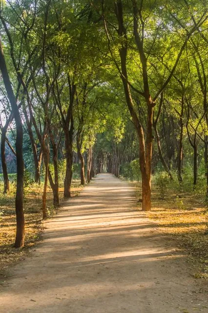 Punit Van, Gandhinagar