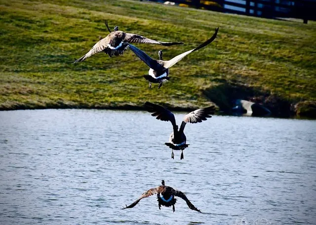 Parque Mirador de los Nevados