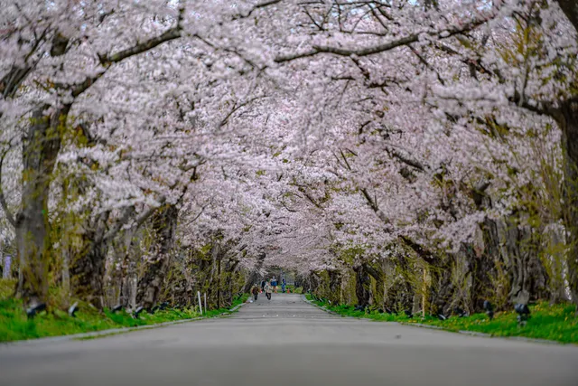 Matsumae Clan Hekirichi Jinya Ruins