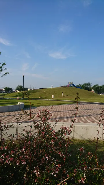 下り松中央公園（さくら公園）