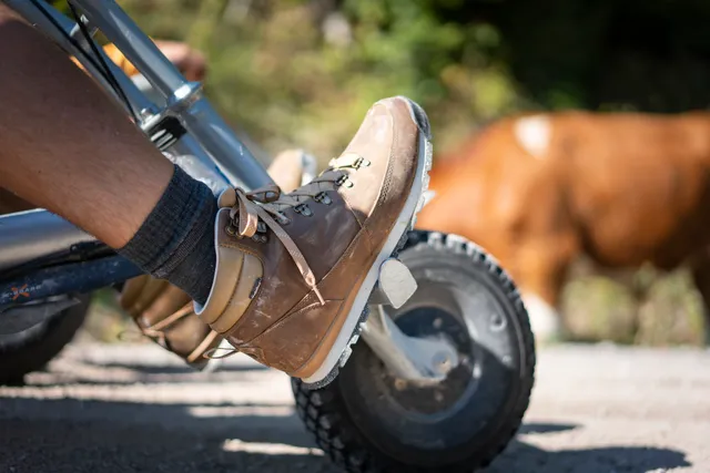 Mountaincart Spitzingsee