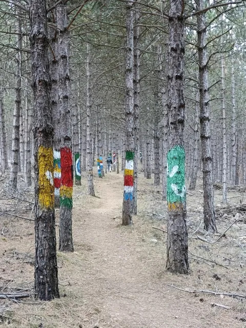 Menhires de Valdeolea PR-S. 61