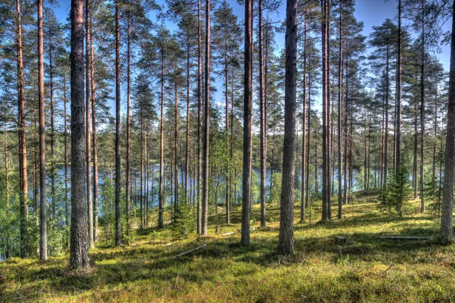 Hällämönharju Esker