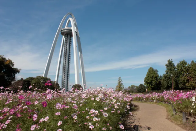 Kiso Sansen Park 138 Tower Park