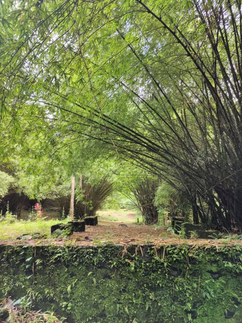 Bimbia Slave Trade Site