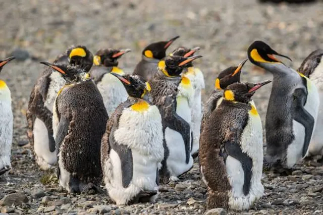 Pantai Bagan Nakhoda Omar