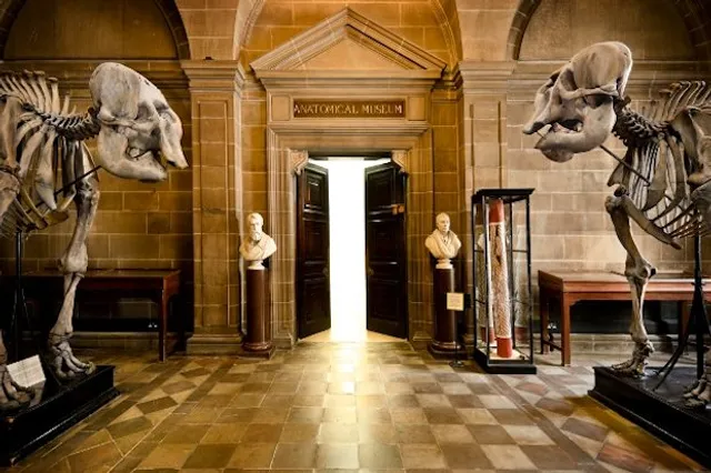 The Anatomical Museum, The University of Edinburgh
