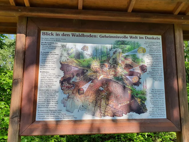 Traumschleife Kaltensteinpfad (Premiumwanderweg)