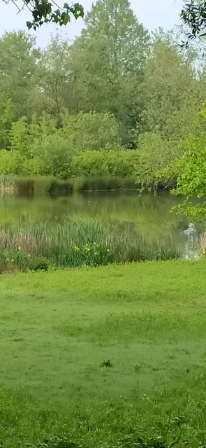 Stagni dell'Oasi Lipu