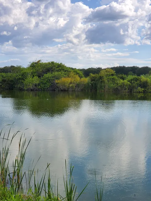 Saddle Creek Park