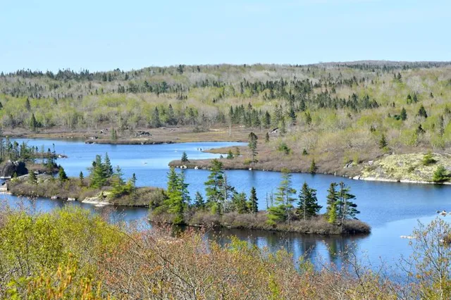 The Trails Park & Pool