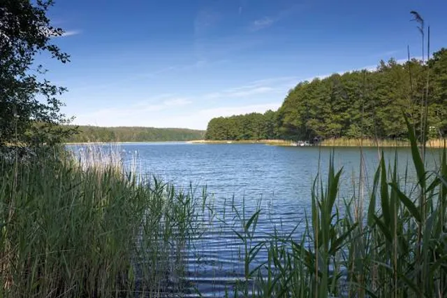 Badestelle Walldorfer See