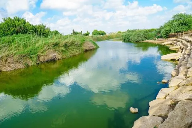 Sharavathi Kandla Mangrove Boardwalk