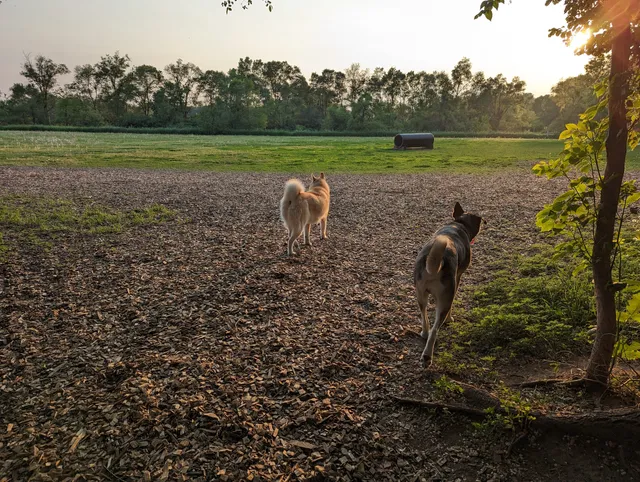 Dakota Woods Dog Park