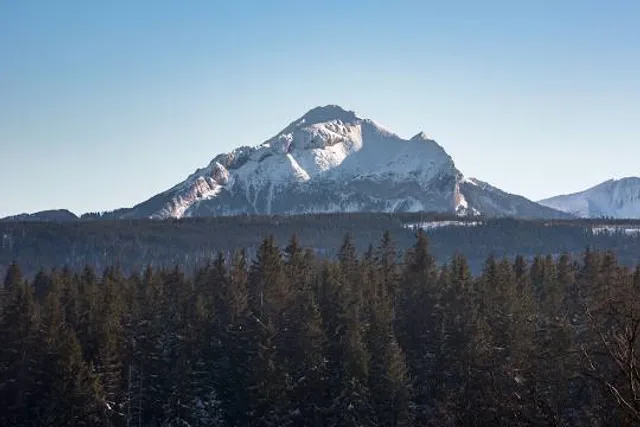 Stary Bór - Park linowy Murzasichle | Zakopane