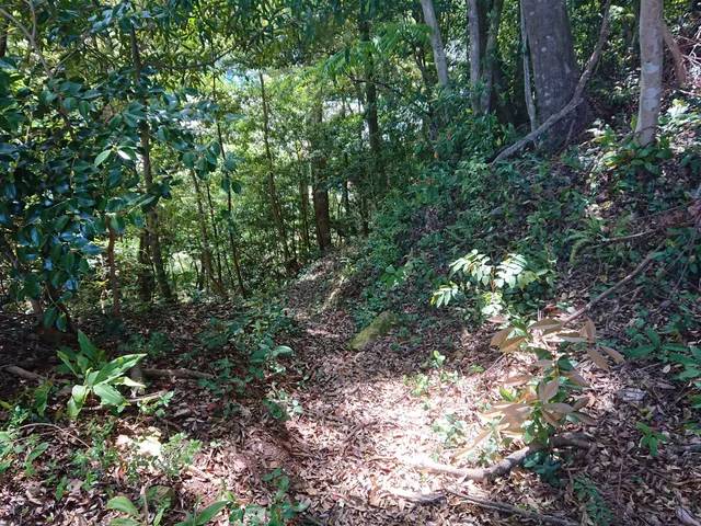 Site of Kaifu Castle