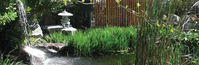 Ichimura Miami Japan Garden