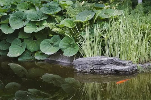 Hergest Croft Gardens