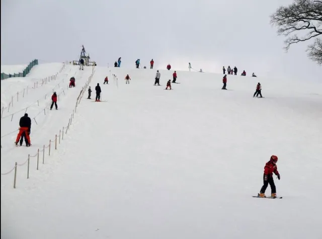 photo-3