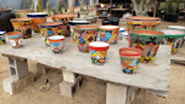 Old West Cactus Farm