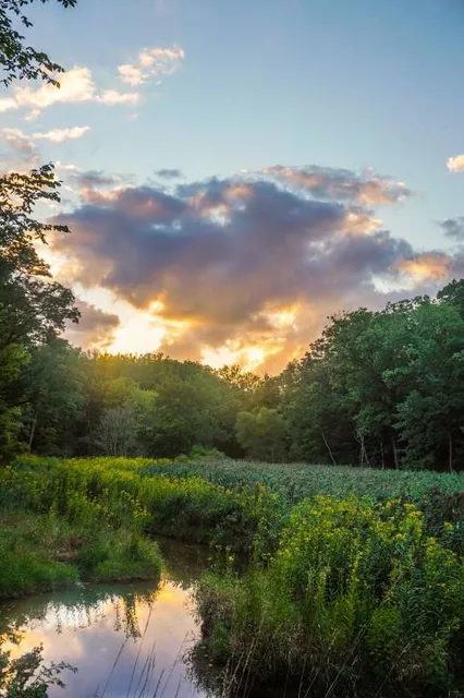 Hemlock Creek Trail - West Creek Conservancy