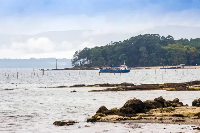 Shoal Bay - 19 Beach