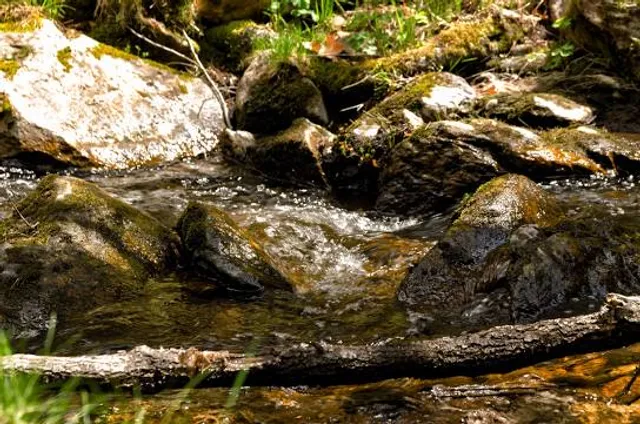 Senda Ecologica De Canencia