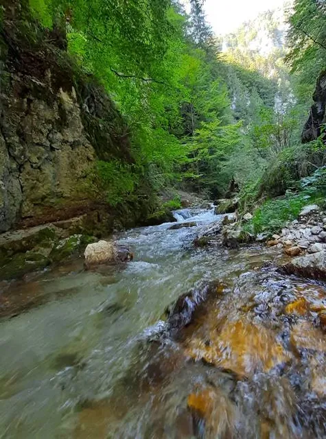 Cheile Dâmbovicioarei