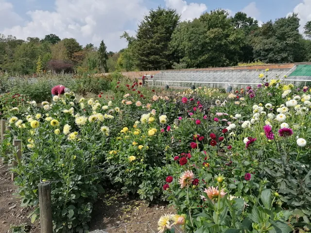 Bedfords Park Walled Garden