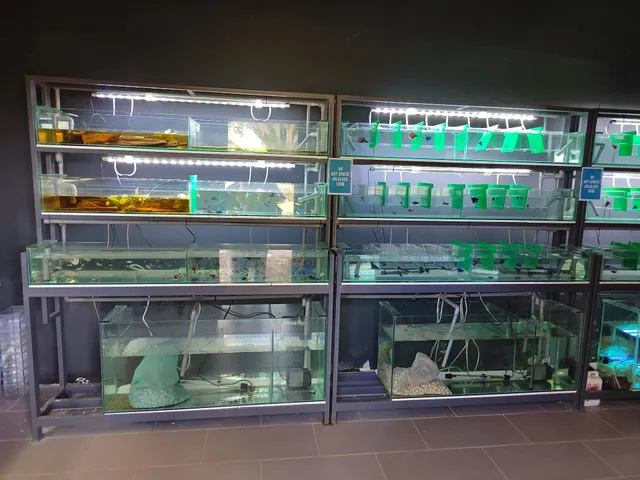 The Acre by Farm Fresh