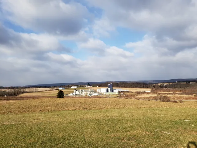 Chelsea Sun Events and Weddings