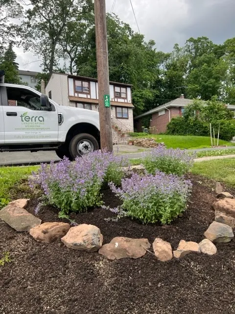 Terra Landscaping LLC