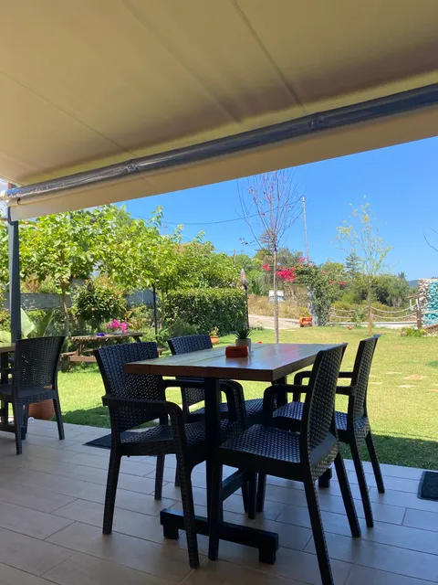 Forest all day eatery bar