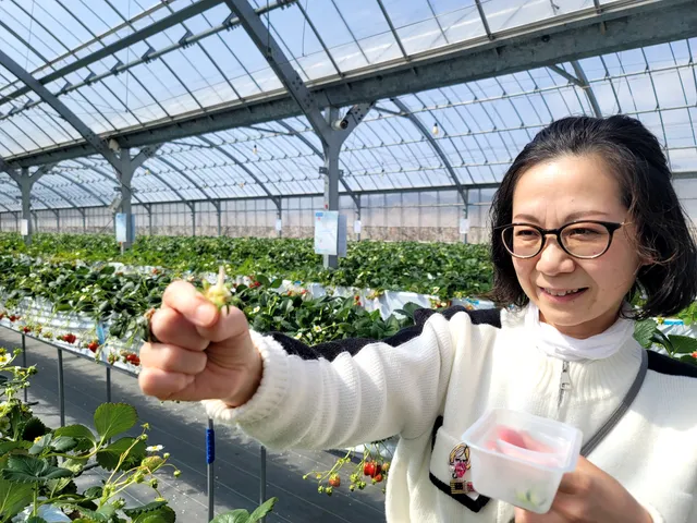 Maatokobo Kokyuichigokari Orchards