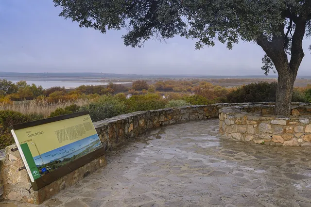 Mirador del Cerro del Palo