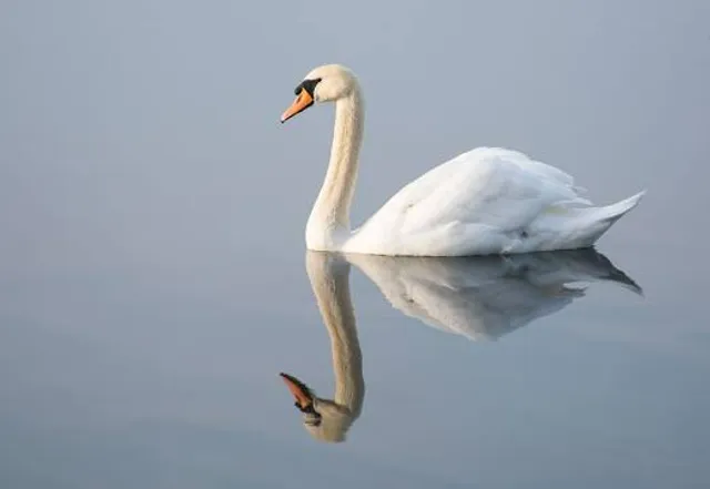 Harrold Odell Country Park