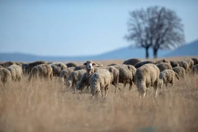 Amerind Museum & Texas Canyon Nature Preserve