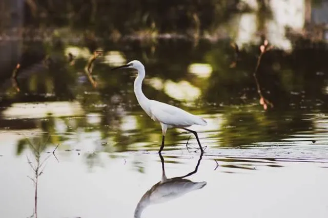 Hopkins Wilderness Park