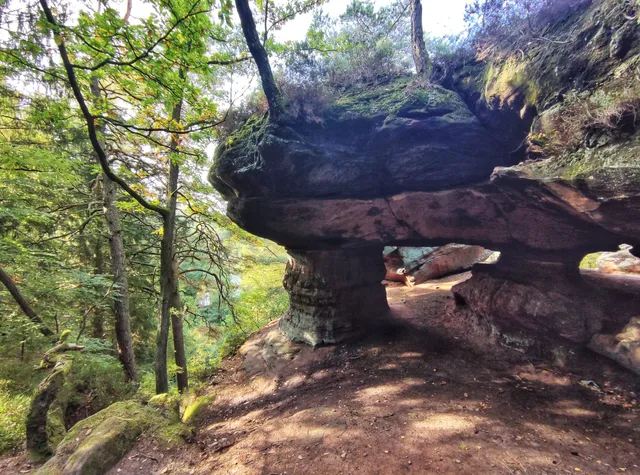 Pirmasenser Felsenwald