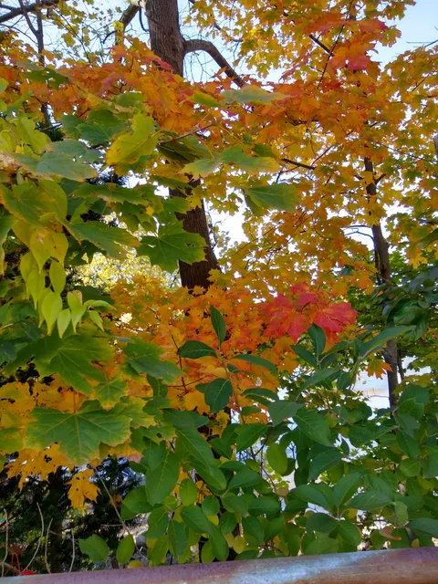 photo-3