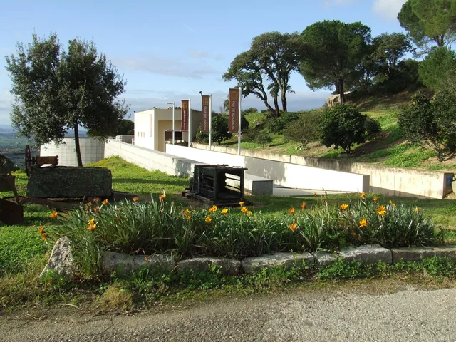 Museo del vino - Berchidda