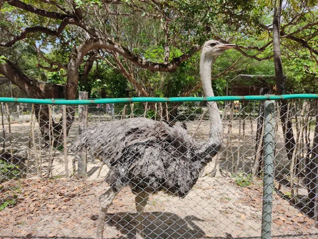 Sargento Prata City Zoo