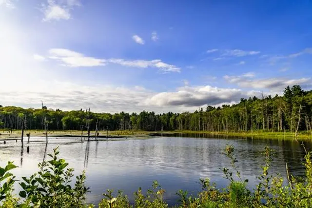 Mass Audubon Waseeka Wildlife Sanctuary