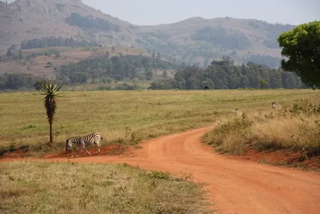 Safari Sanctuary -rescue. Not open to public.